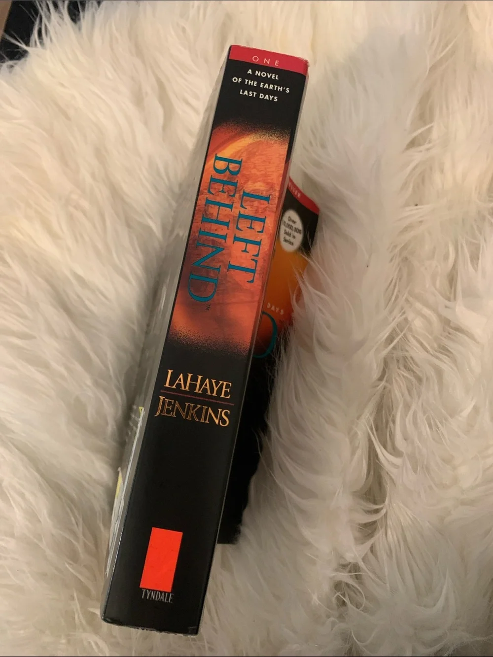 Left Behind Paperback Novel